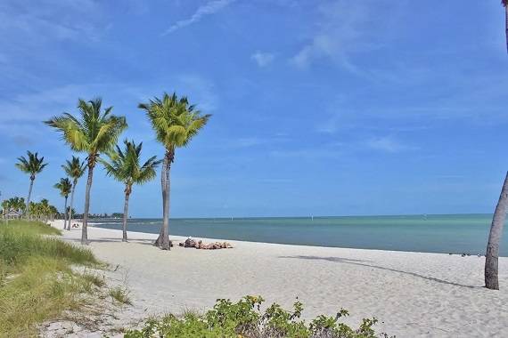 The 10 clearest water beaches in Florida