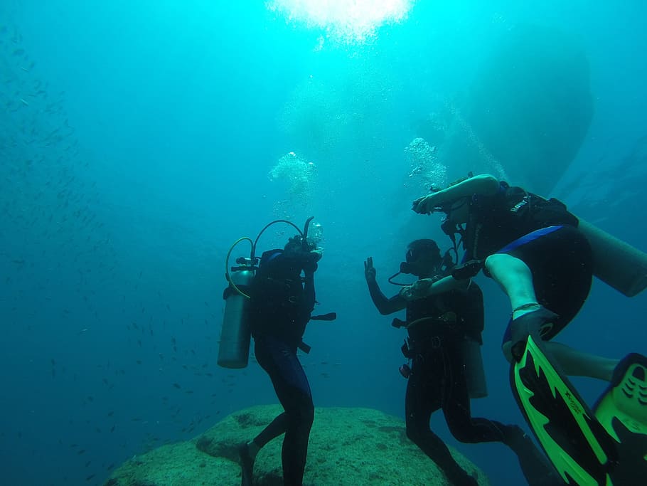Ocean Safari Diving Adventures