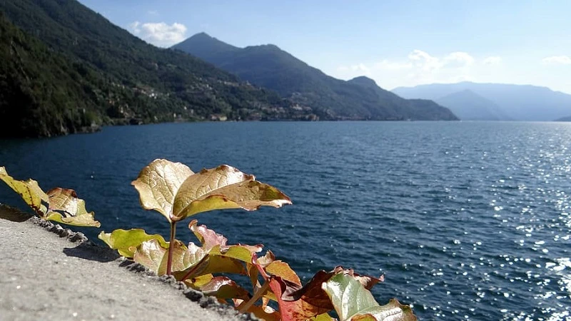 Summer in Sicily