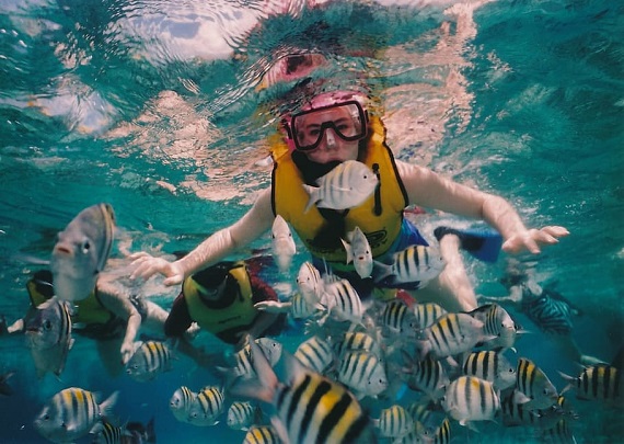 Best Snorkeling In Costa Rica