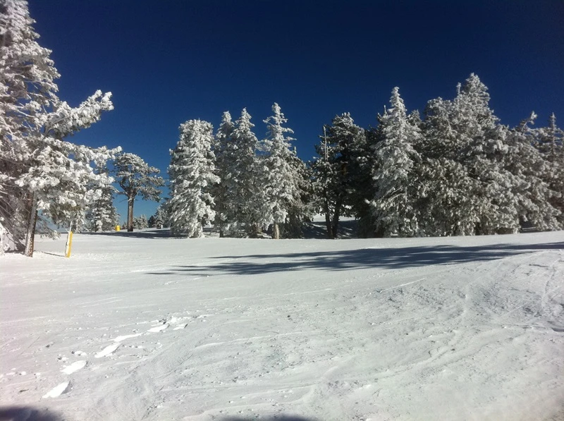 California in December