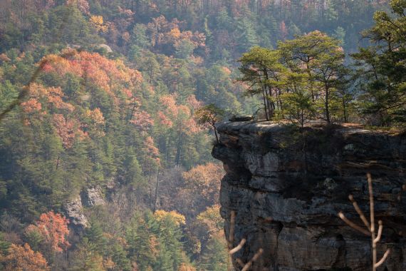 waterfalls in Red River Gorge