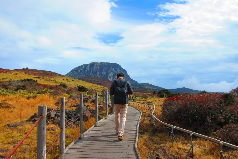 A beautiful hiking path on Halla mountain, Jeju Island