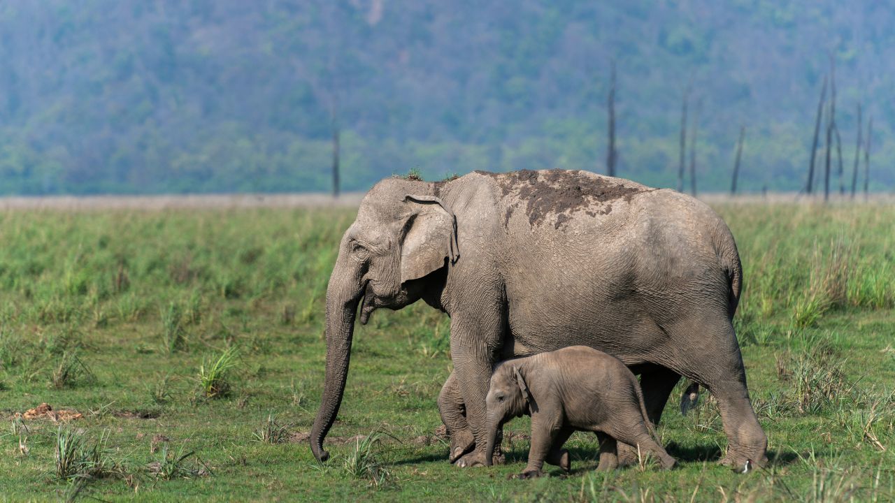 Top 10 national parks in india