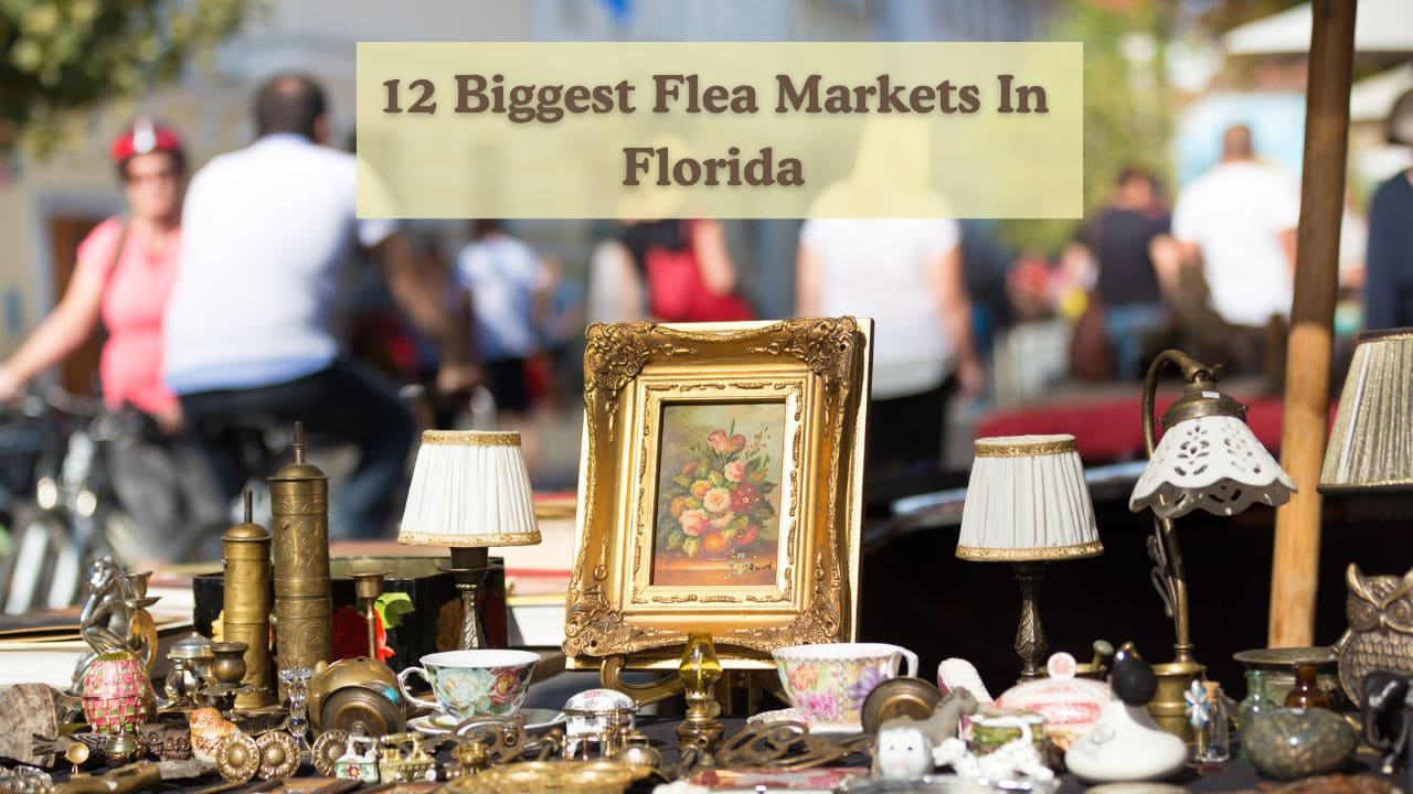 12 Biggest Flea Markets In Florida Ultimate Shopping Guide Travelflax