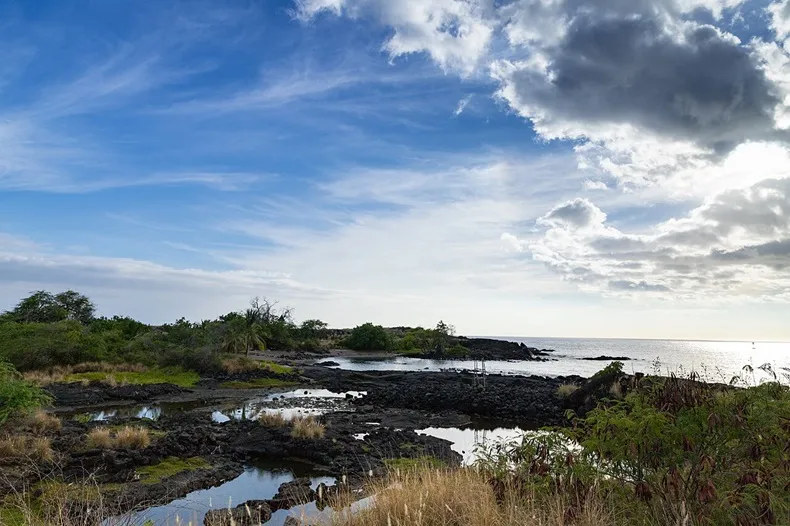 Kona Dog Beach