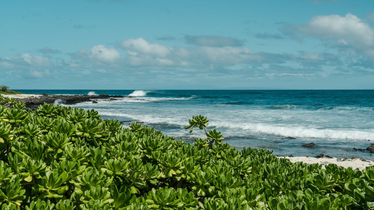 Kaloko Beach: Absolute Majestic Bliss - Travelflax