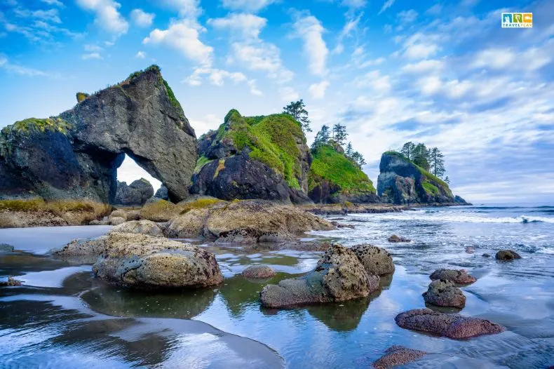 Olympic National Park
