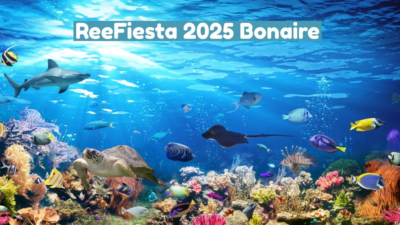 ReeFiesta 2025 Bonaire: Coral Restoration & Adventure Experience