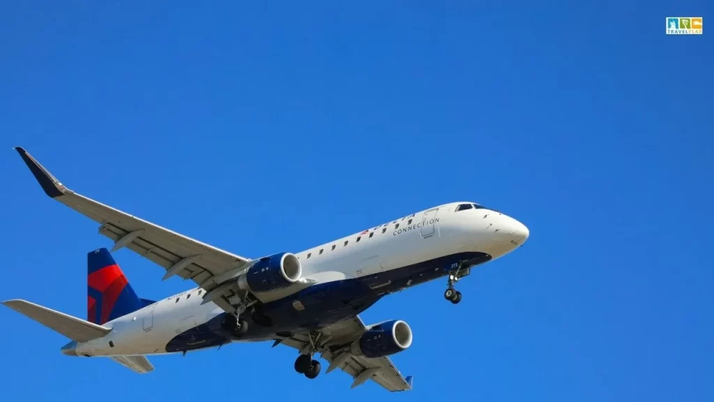 August Airline Trends: Fewer Flights, Shifting Fares, Smarter Buys