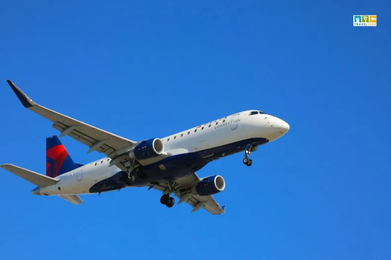 Airline IT Outages: Shocking Disruptions Stranding Travelers 2025