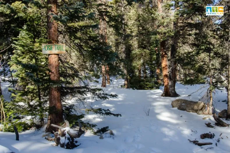 Horse Trail, Breckenridge