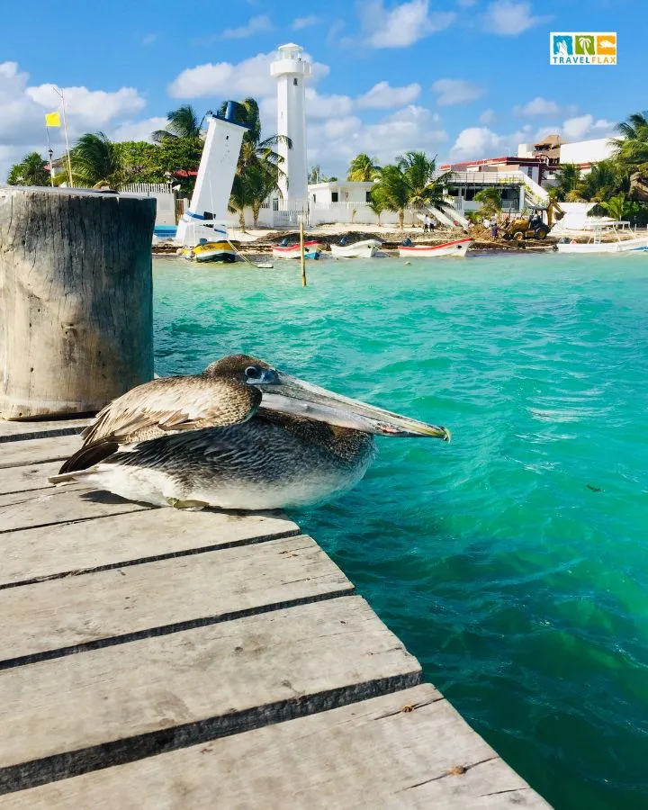 Puerto Morelos, Mexico, one of the safest mexican beach towns