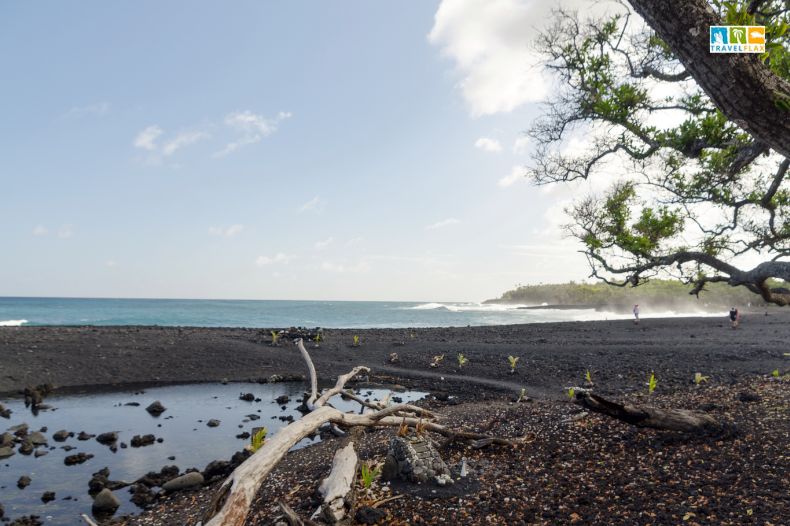 Pohoiki Black Sand Beach
