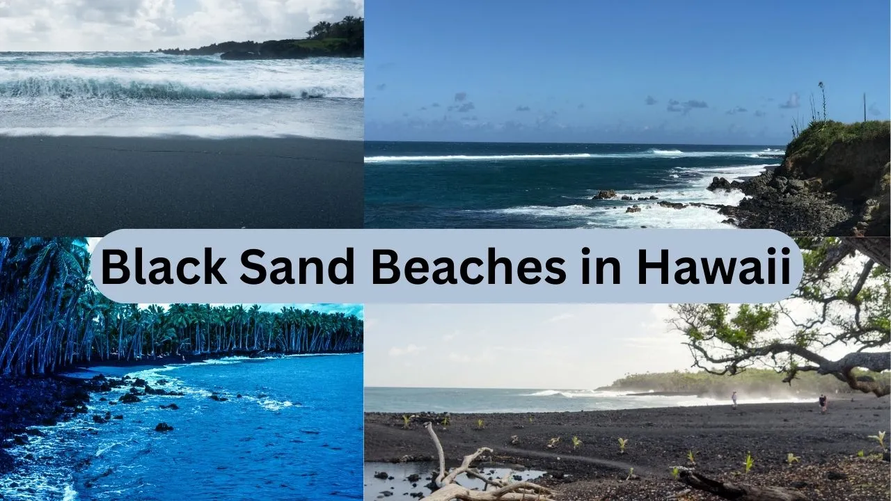 Black Sand Beaches in Hawaii