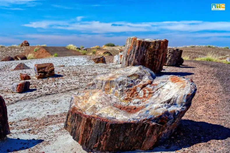 Petrified Forest National Park, Arizona